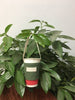 Colorful Canvas cup bag